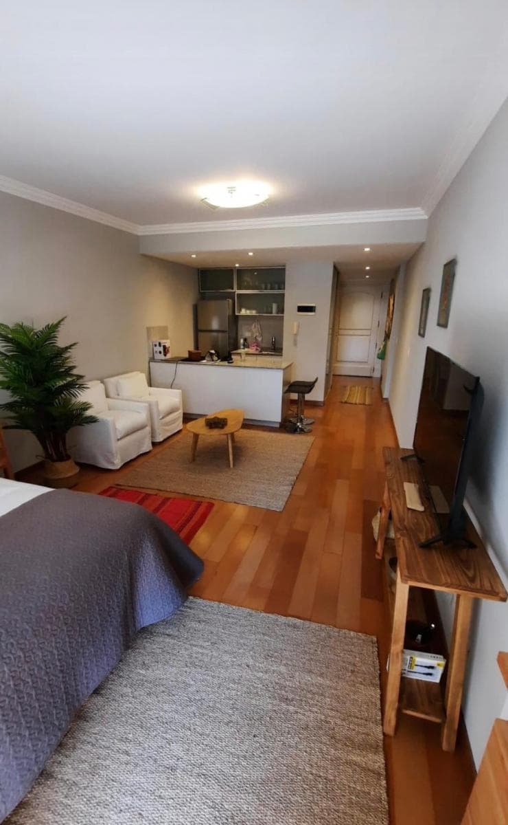 Apartment in Recoleta