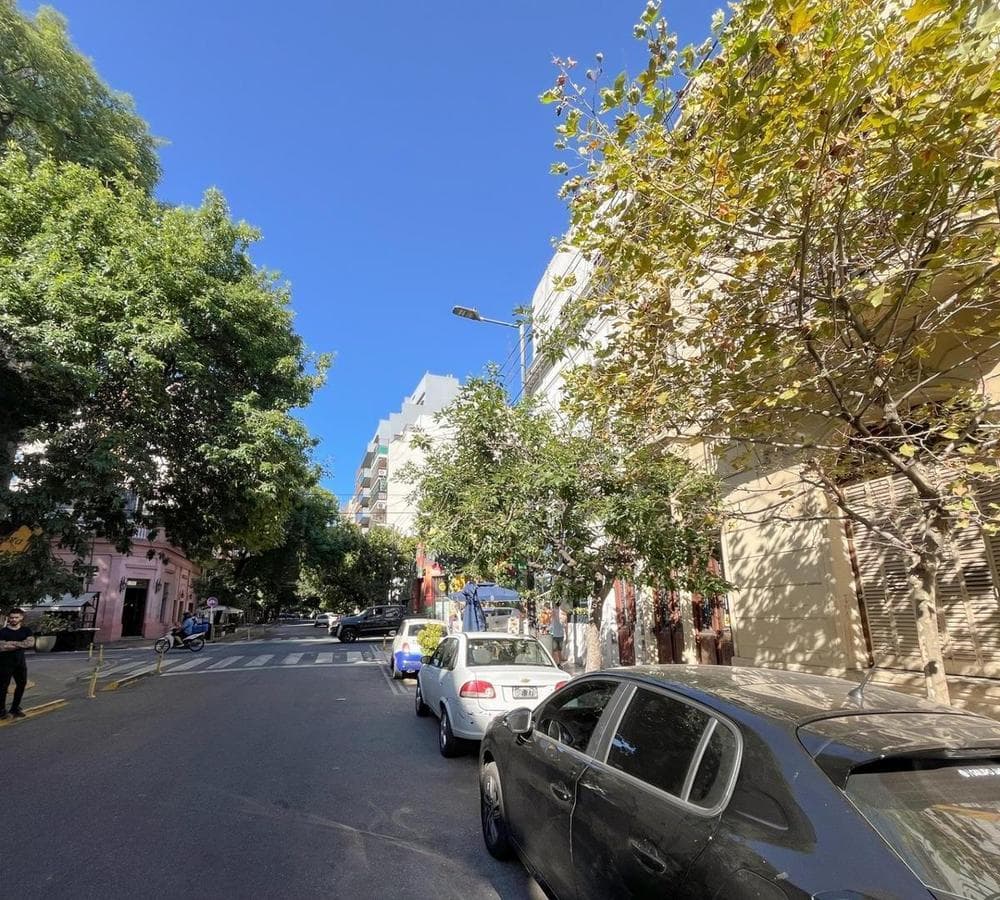 COMMERCIAL RENTAL: 2 HOUSES IN A BLOCK IN PALERMO