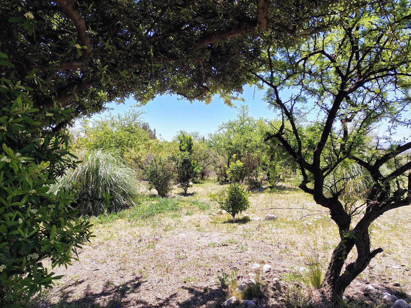 New Listing! House with Pool in Los Hornillos | Stunning View of the Mountains | Deed