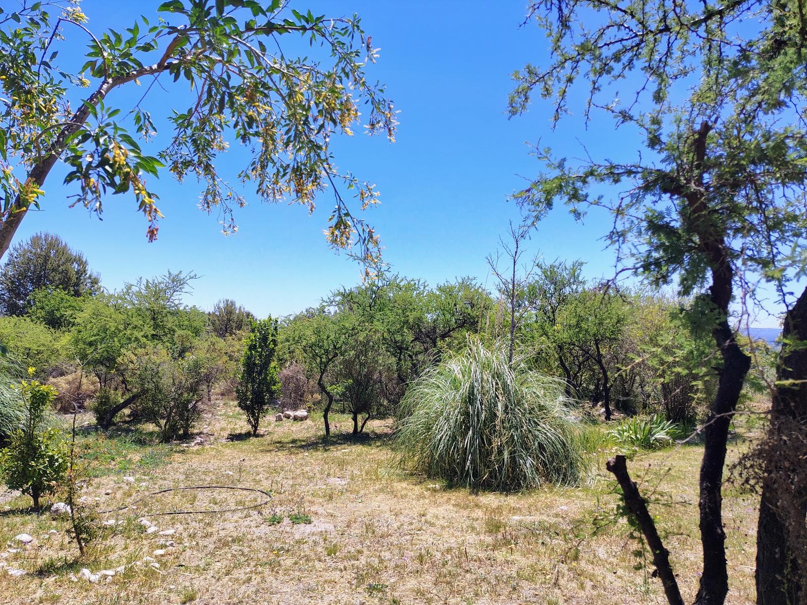 New Listing! House with Pool in Los Hornillos | Stunning View of the Mountains | Deed
