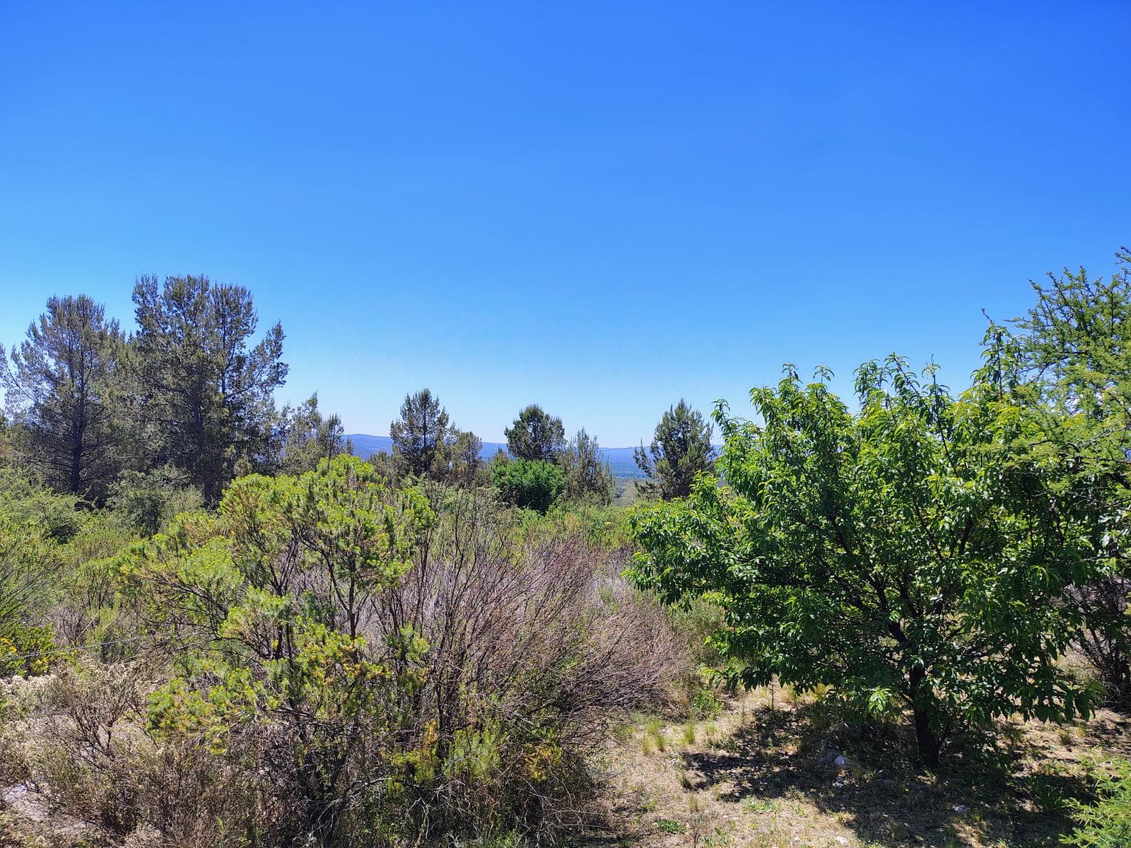 New Listing! House with Pool in Los Hornillos | Stunning View of the Mountains | Deed