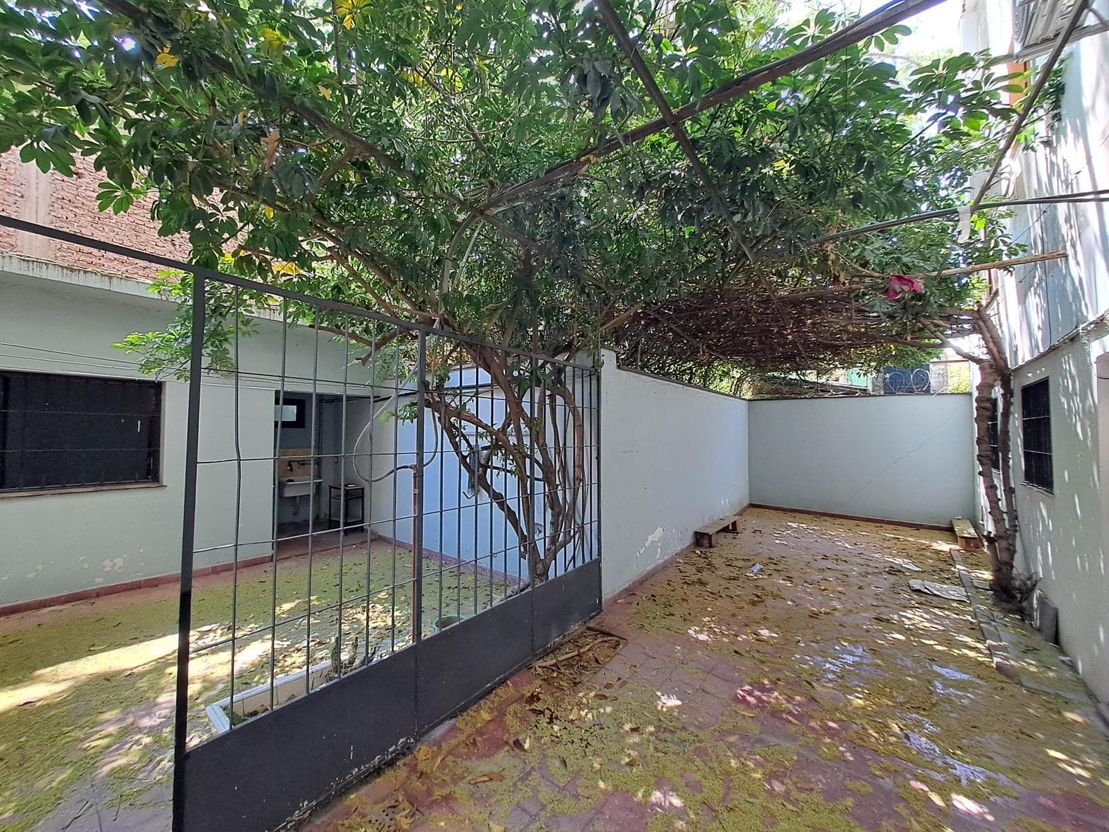 Apartment suitable for professional use—8 rooms and a private patio