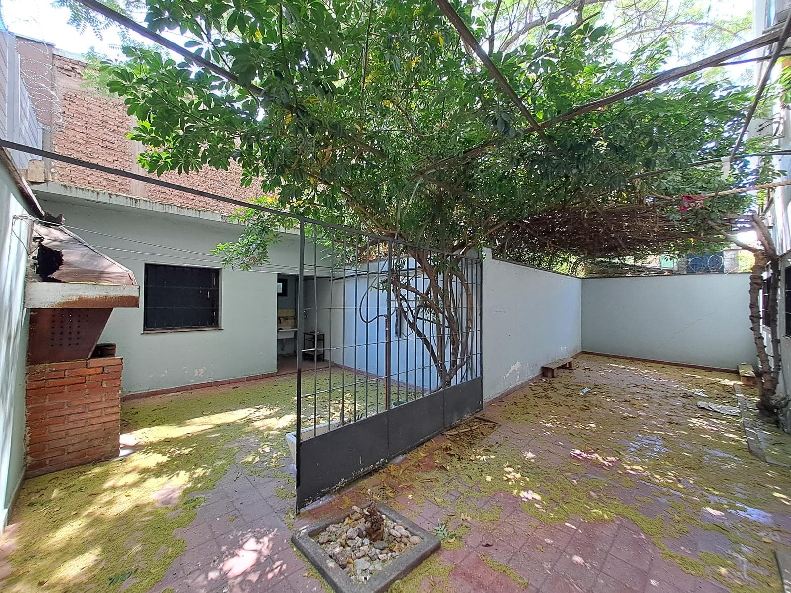 Apartment suitable for professional use—8 rooms and a private patio