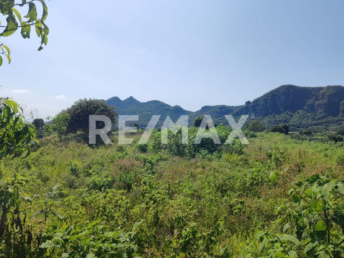 Lot with a great view in Cruz Blanca, Tlayacapan, Morelos