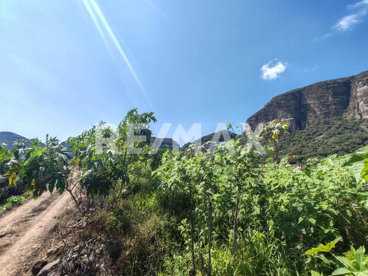 Lot with a great view in Cruz Blanca, Tlayacapan, Morelos