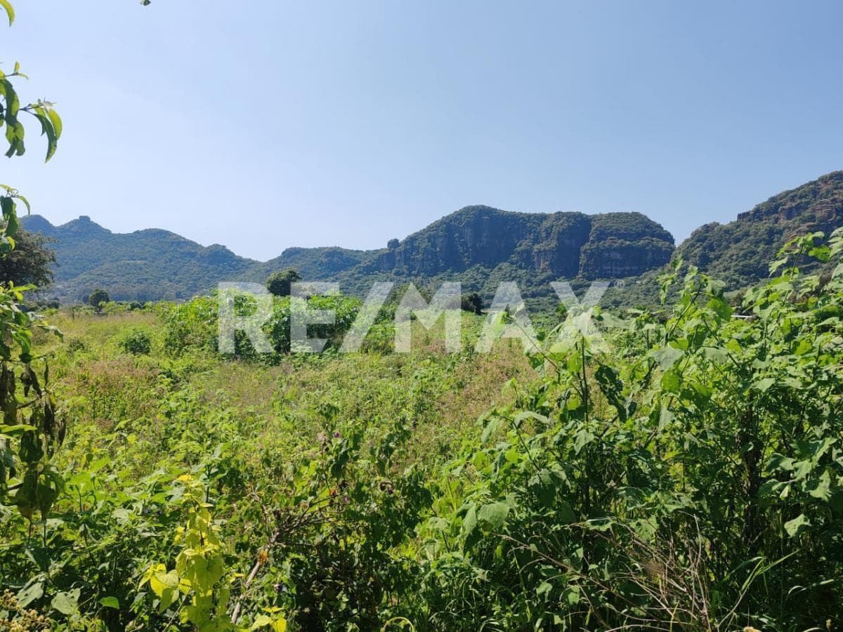 Lot with a great view in Cruz Blanca, Tlayacapan, Morelos