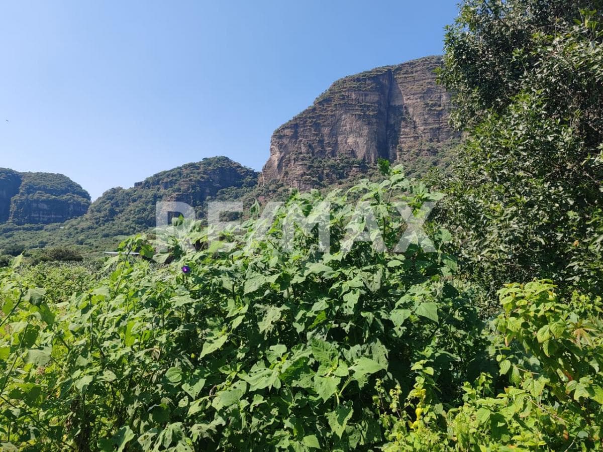 Lot with a great view in Cruz Blanca, Tlayacapan, Morelos