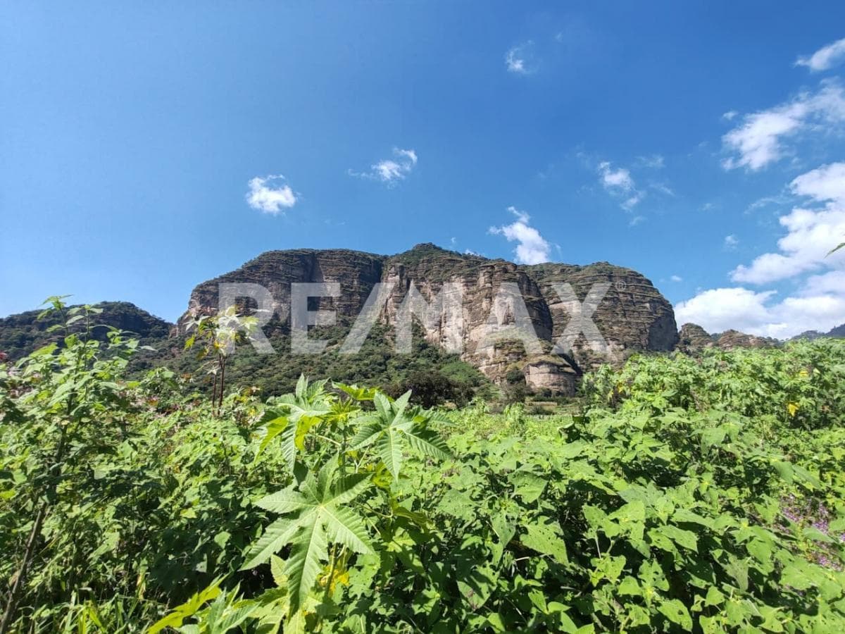 Lot with a great view in Cruz Blanca, Tlayacapan, Morelos