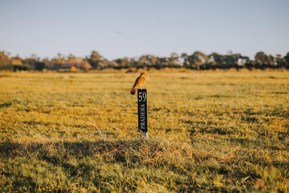 LAND IN MAR DEL PLATA COUNTRY CLUB