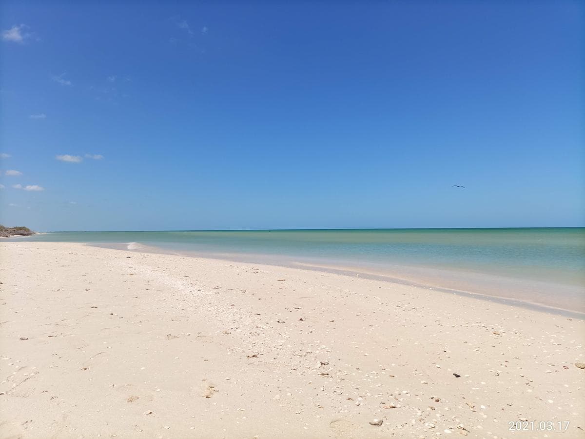 25-meter Oceanfront Lot in Sisal Sunset Beach, Yucata
