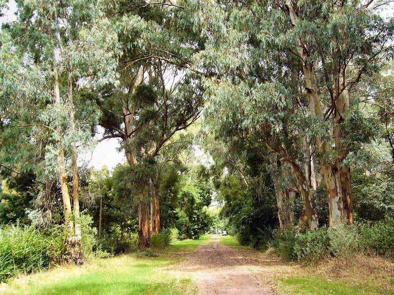 Land for Sale - El Ensueño, Balneario Santa Ana, Lot 24, Block 11