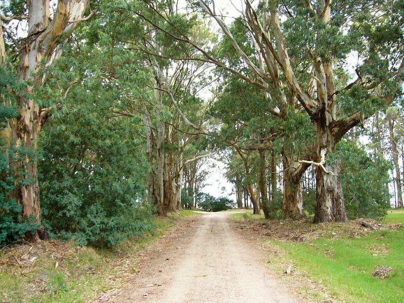 Land for Sale - El Ensueño, Balneario Santa Ana, Lot 8 MH