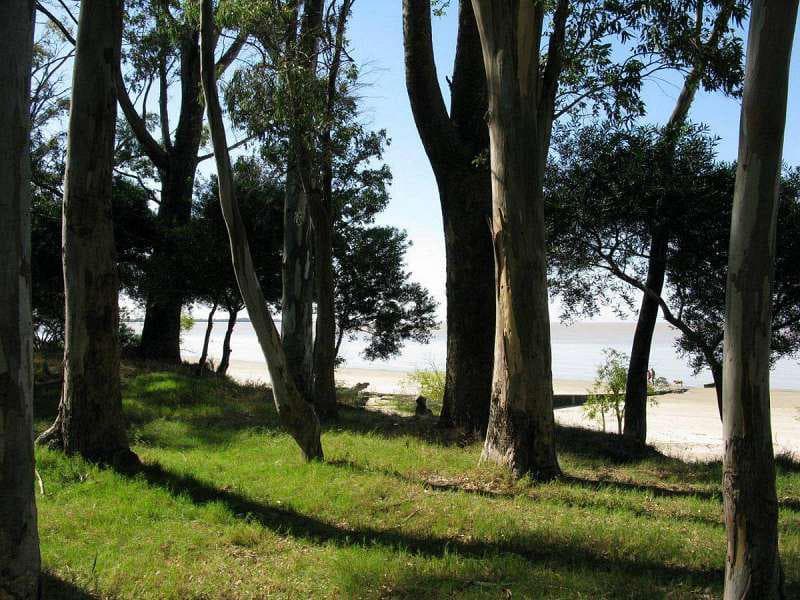 Land for Sale - El Ensueño, Balneario Santa Ana, Lot 8 MH