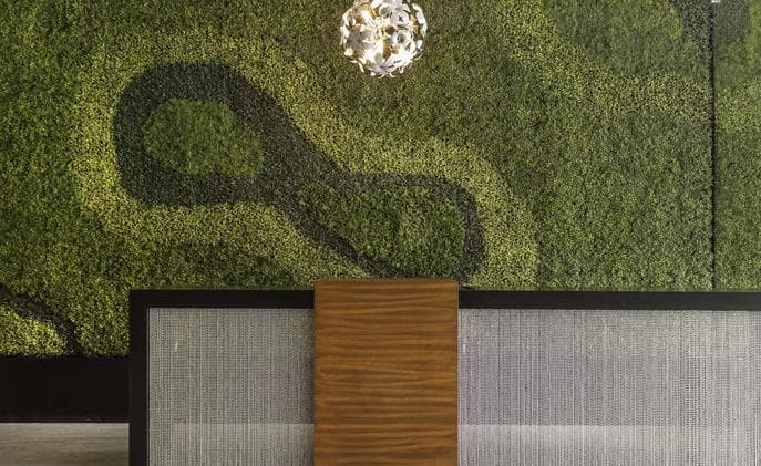 Renta Escandon Office, 281 m², 9th Floor
