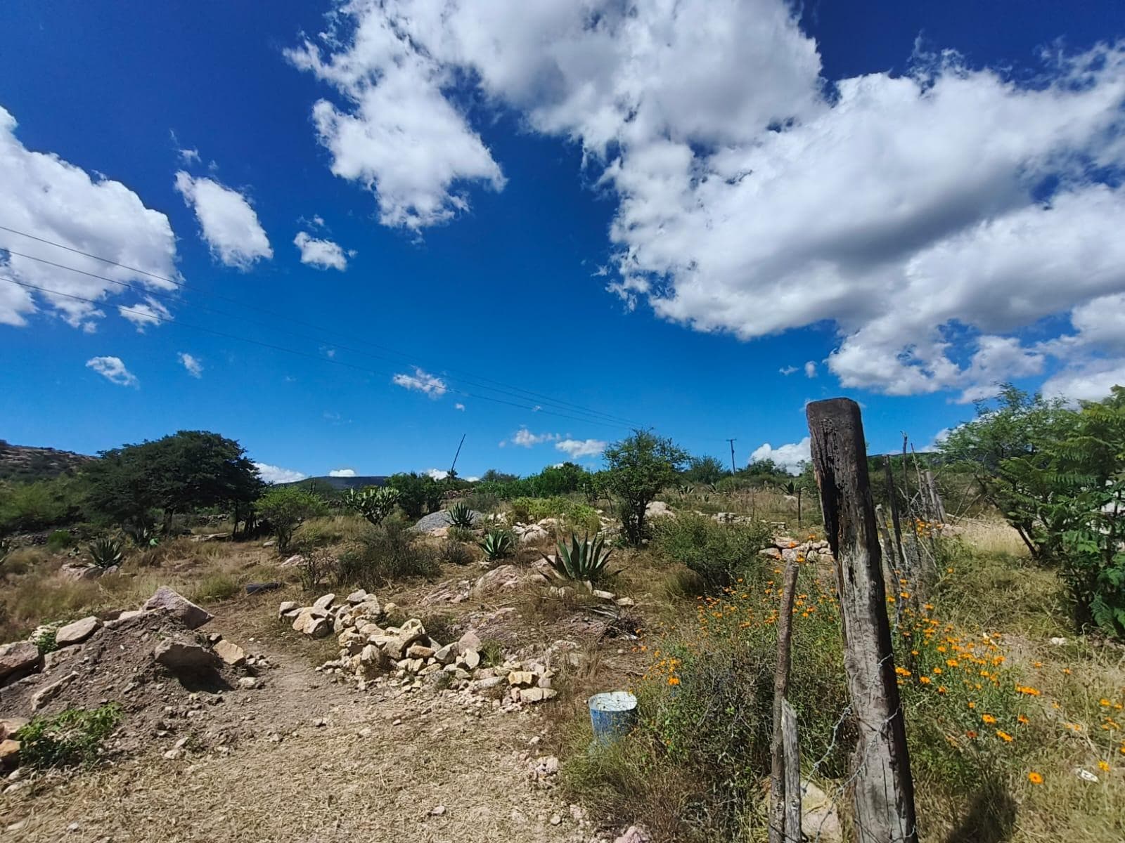 “Land for sale in La Laborcilla, El Marqués – Ideal for an ecotourism project”