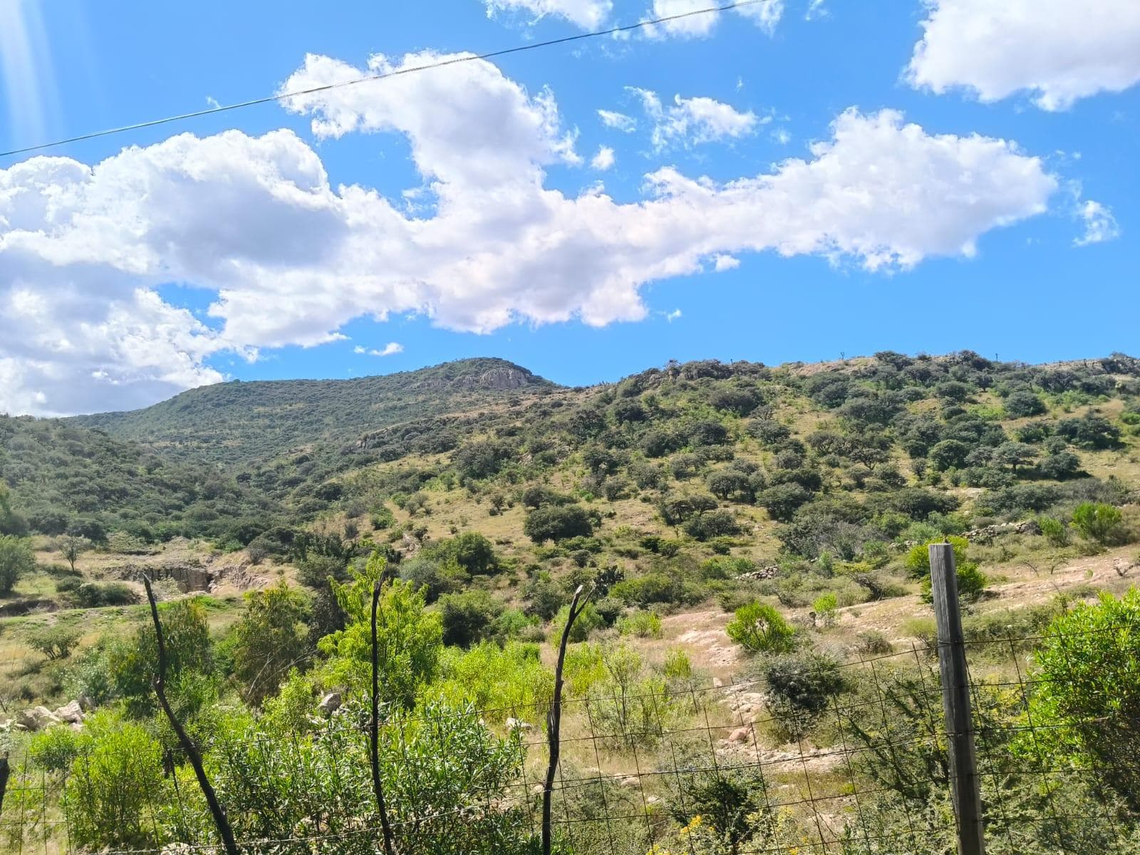“Land for sale in La Laborcilla, El Marqués – Ideal for an ecotourism project”