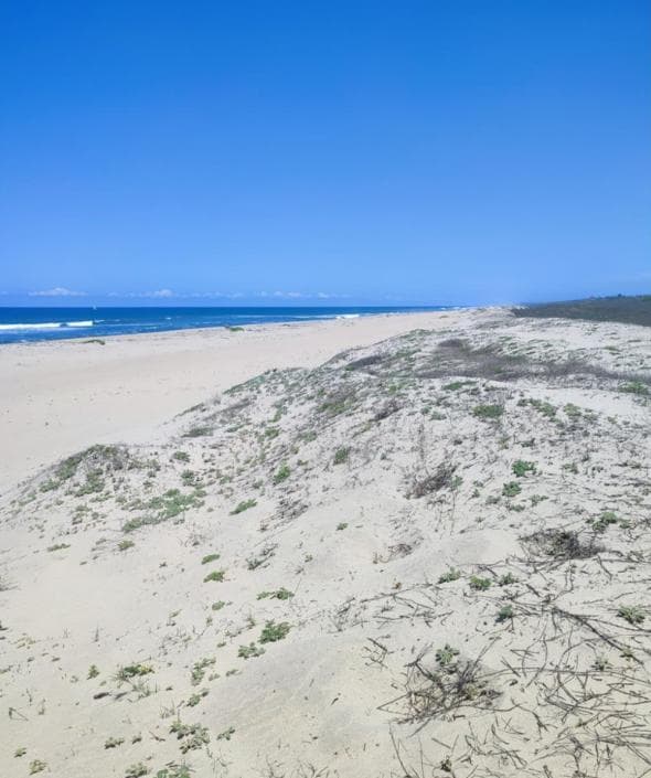 Land for Sale in Playa Jalisco, a High-Demand Area in Playa de Tomatlán