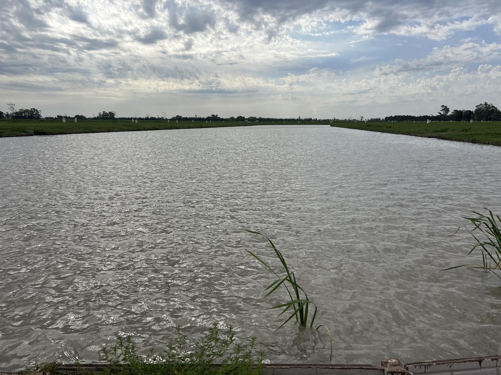 Land for Sale in Las Victorias Canning
