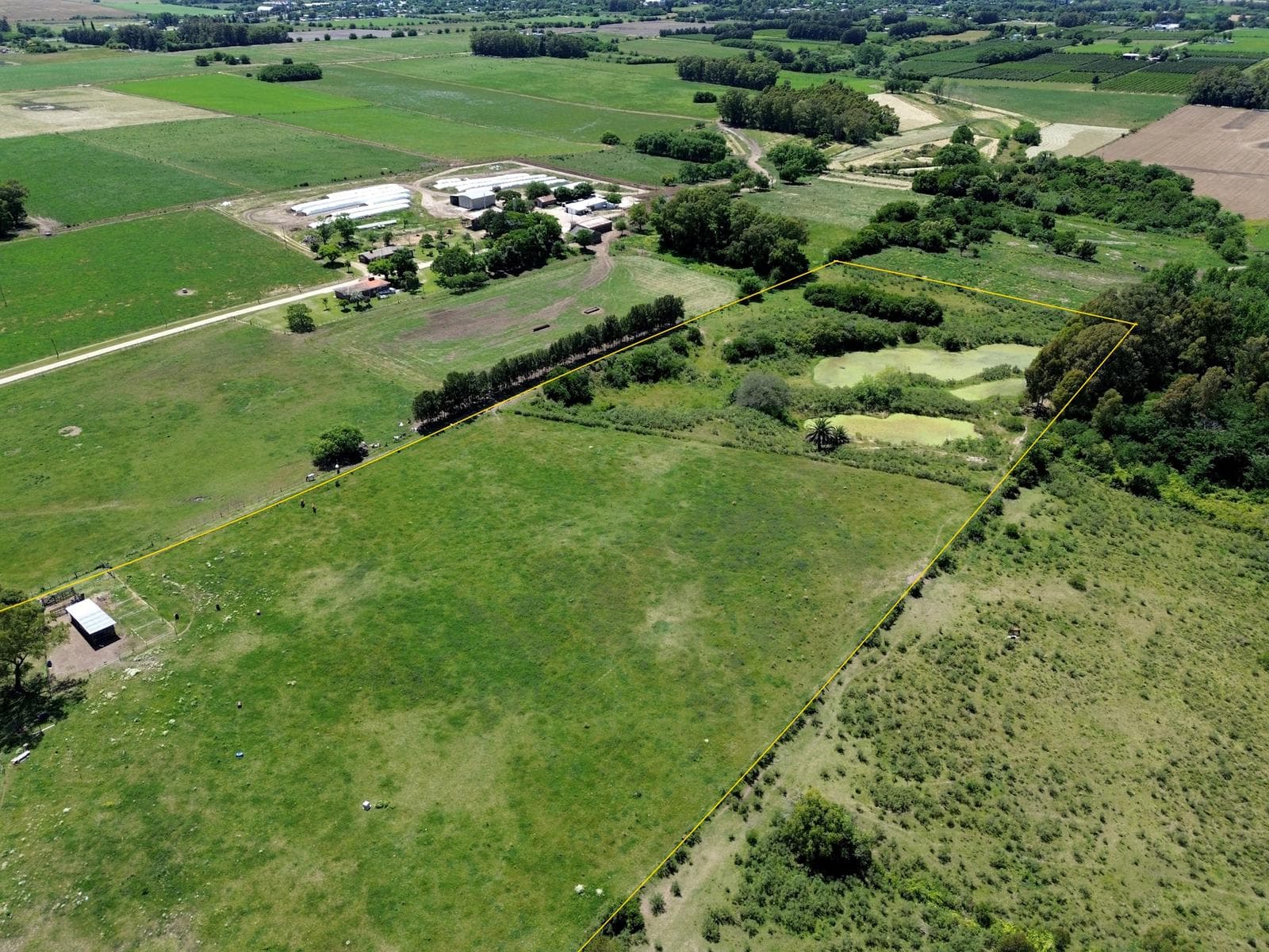 La Paz Farm (4.8 hectares) - Colonia