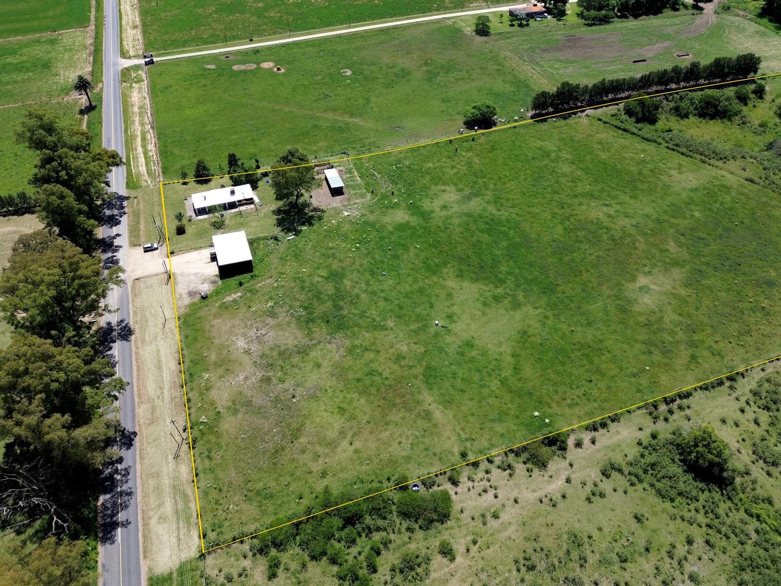 La Paz Farm (4.8 hectares) - Colonia