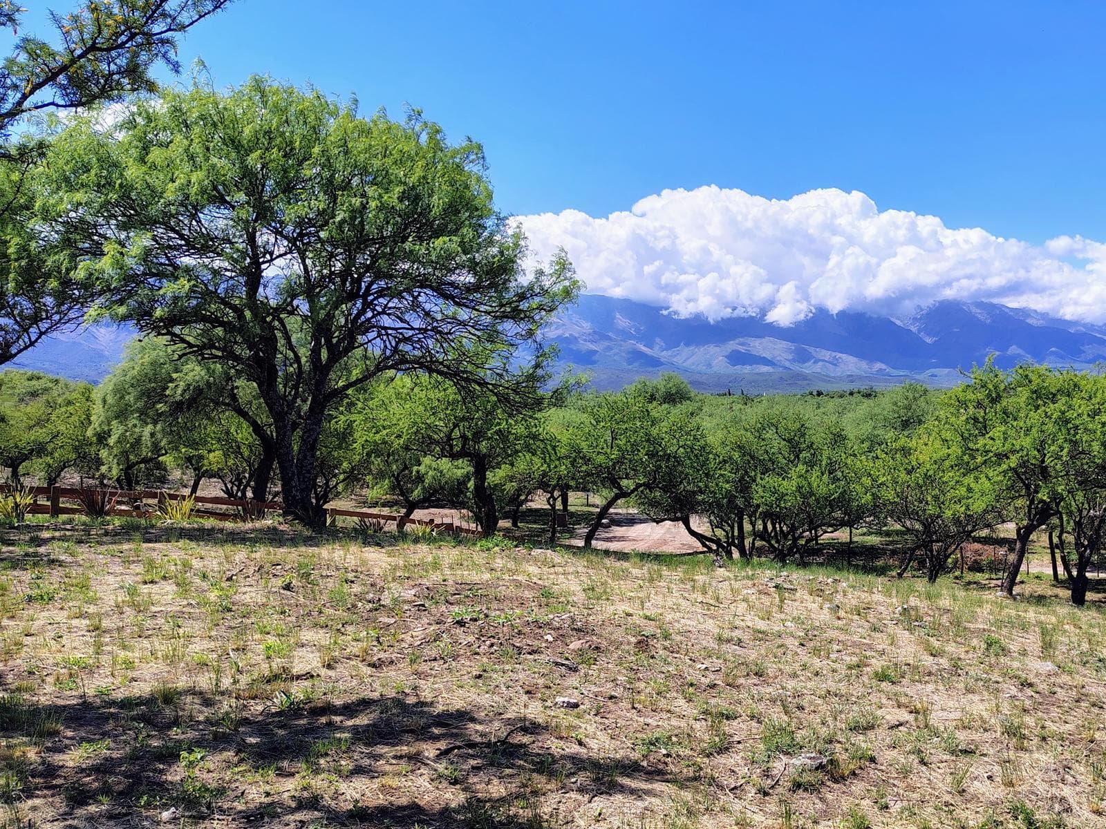 For Sale: 2,500 m² Uphill Lot with Unobstructed Views in an Exclusive Neighborhood | FINANCING | SAN JAVIER