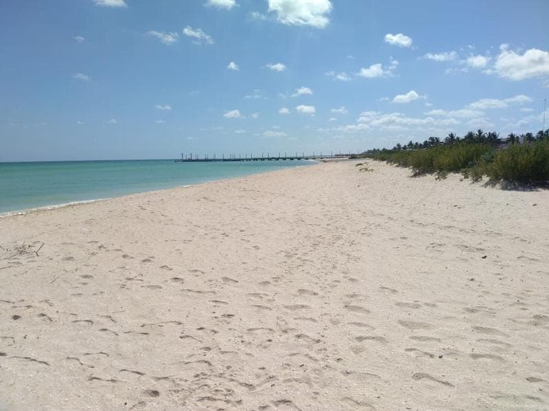 Oceanfront Lots in Sisal, Yucatán, with an Interest-Free Financing Plan
