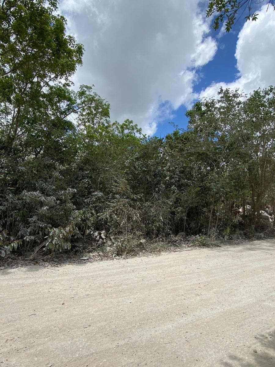 LAND FOR RENT IN CANCUN BEHIND SUMACASA HUAYACAN