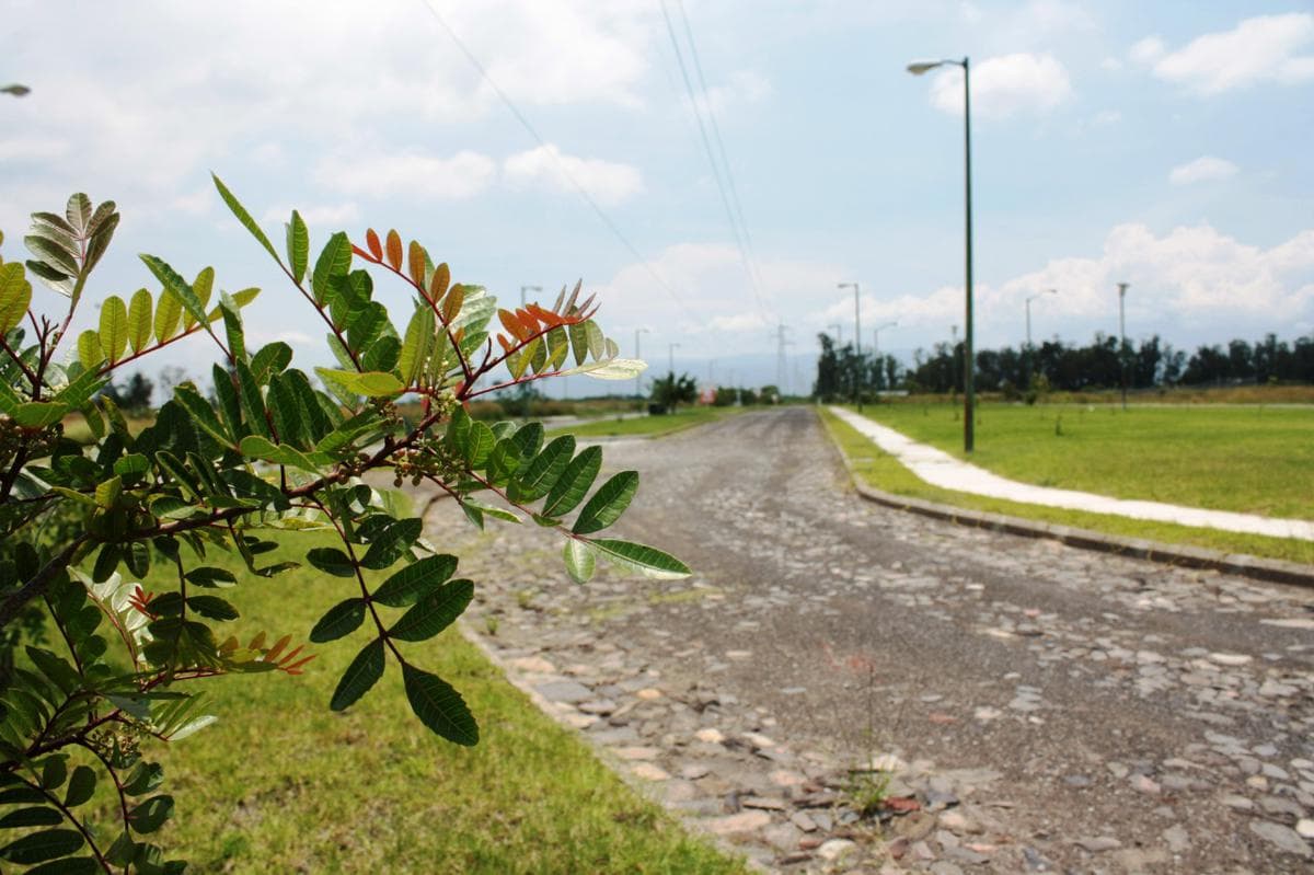Land - Acatlan de Juárez