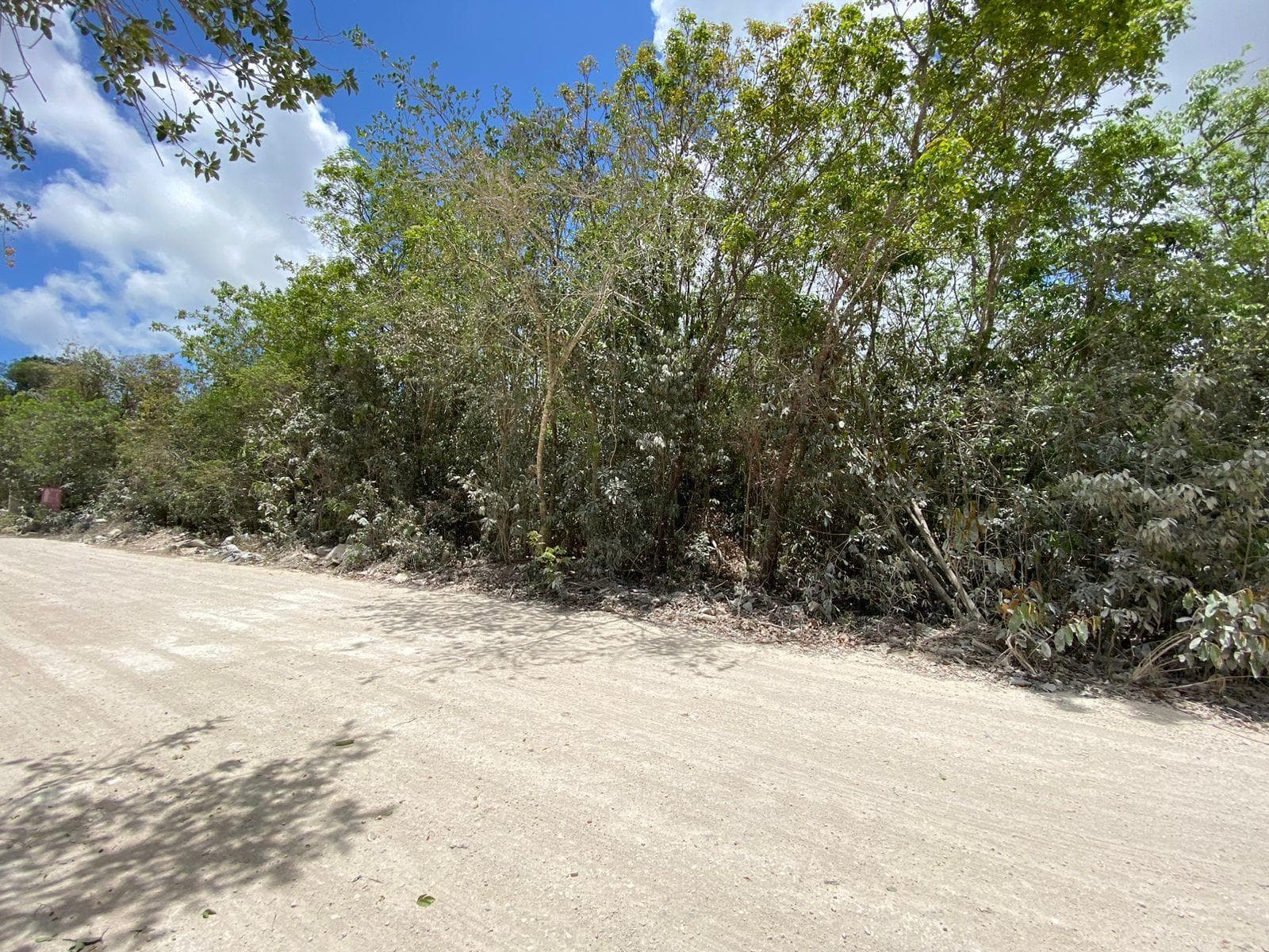LAND FOR RENT IN CANCUN BEHIND SUMACASA HUAYACAN