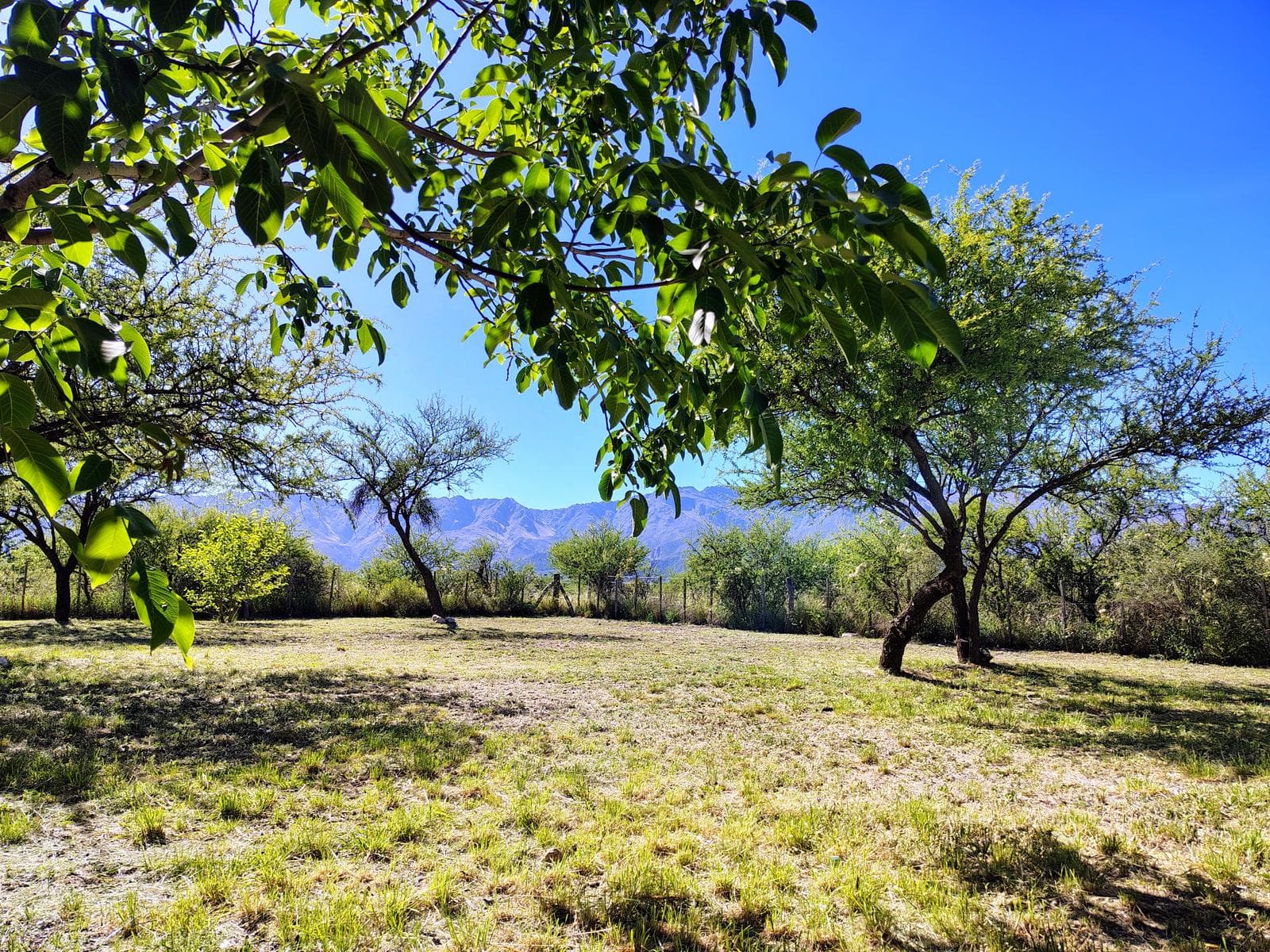 2-Bedroom House in Las Rabonas | El Tajamar Park | Deed