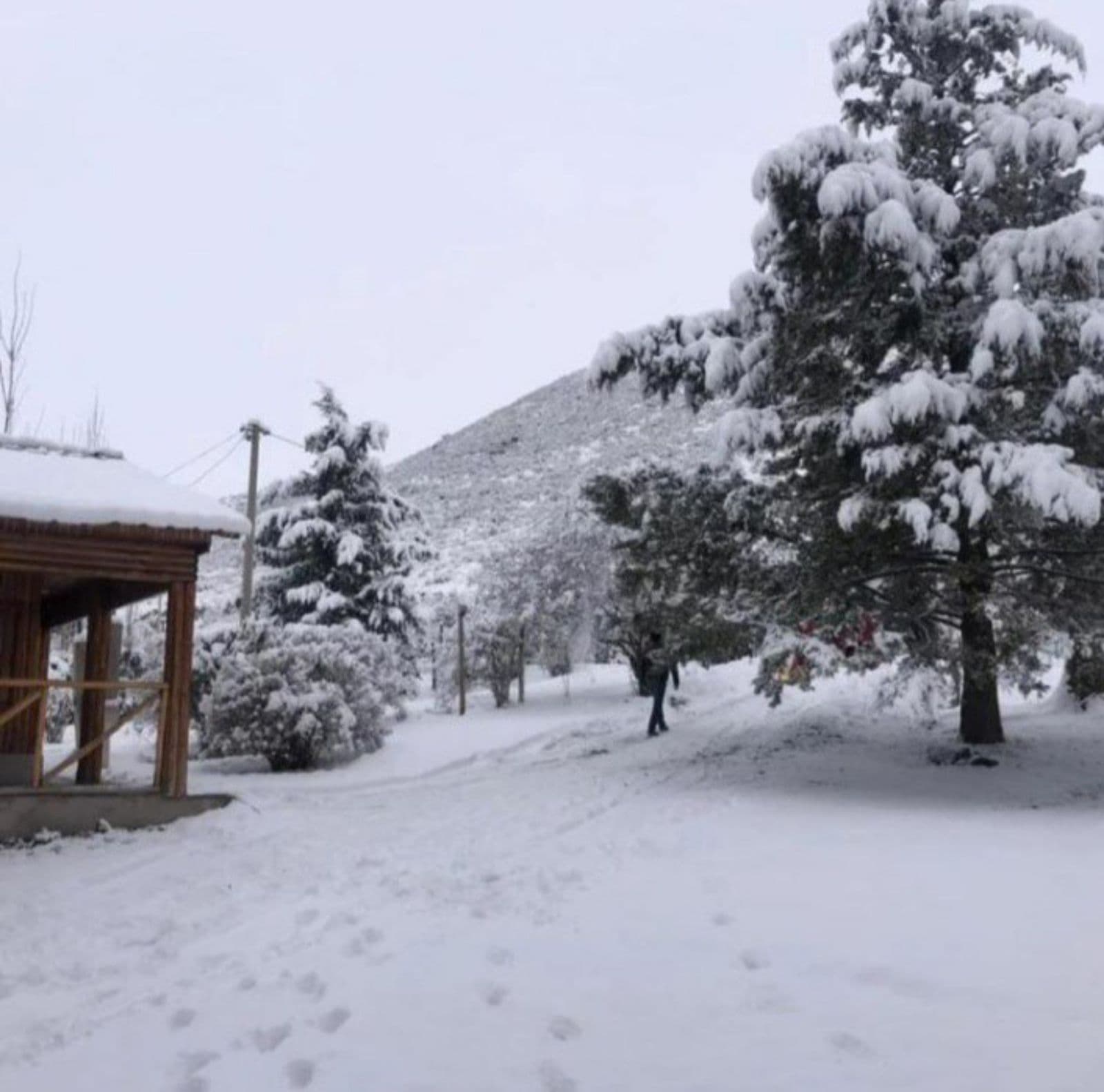Cabañas en Potrerillos con jardín y fogón