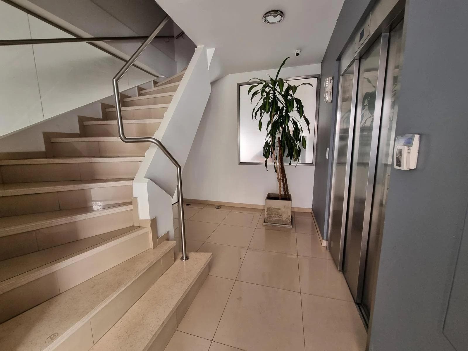 Opportunity: Brand-New Studio Apartments. Martin