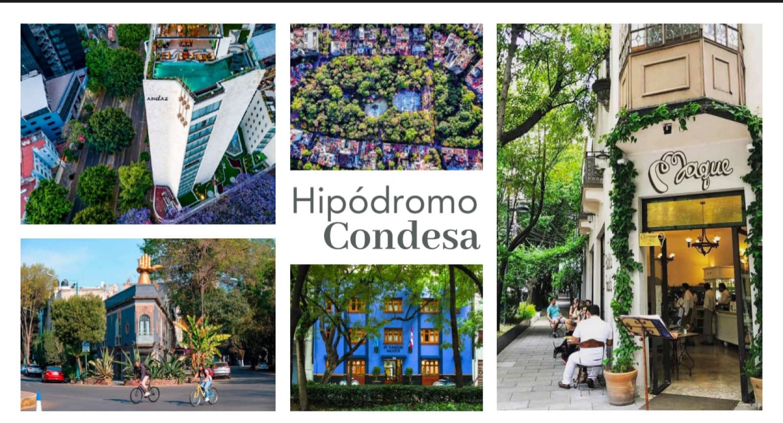 Apartment - Condesa