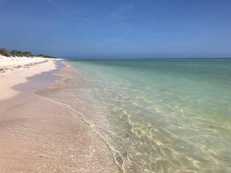 Large oceanfront lot in Sisal, Yucatán. Ideal for developers