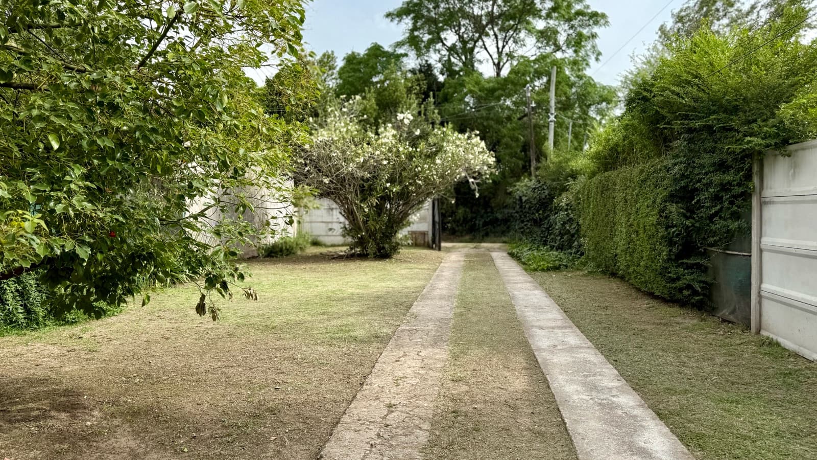 A beautiful home with a charming, lush garden where moments become unforgettable