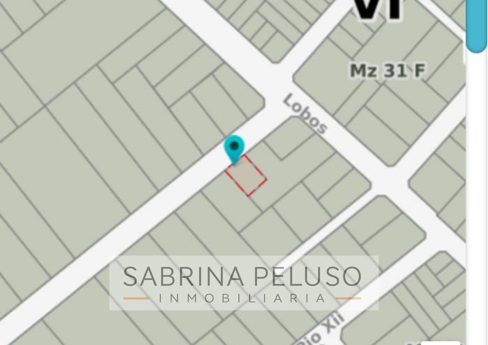 Casa en V.Zapiola