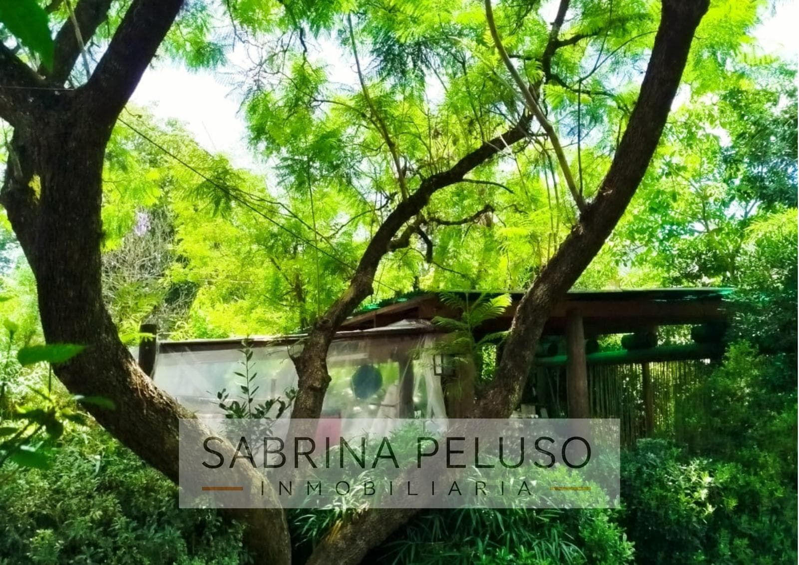 Casa en V.Zapiola