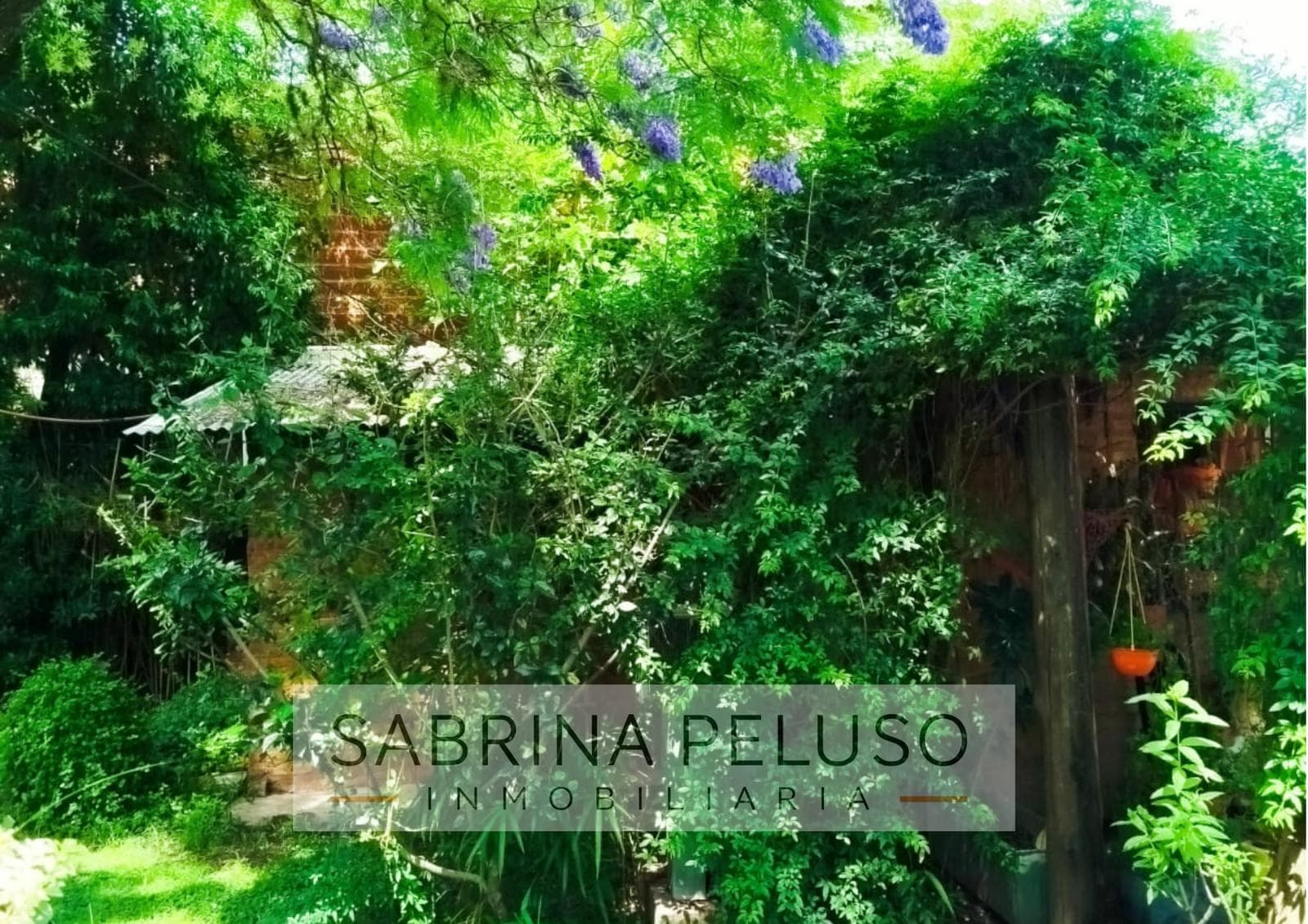 Casa en V.Zapiola