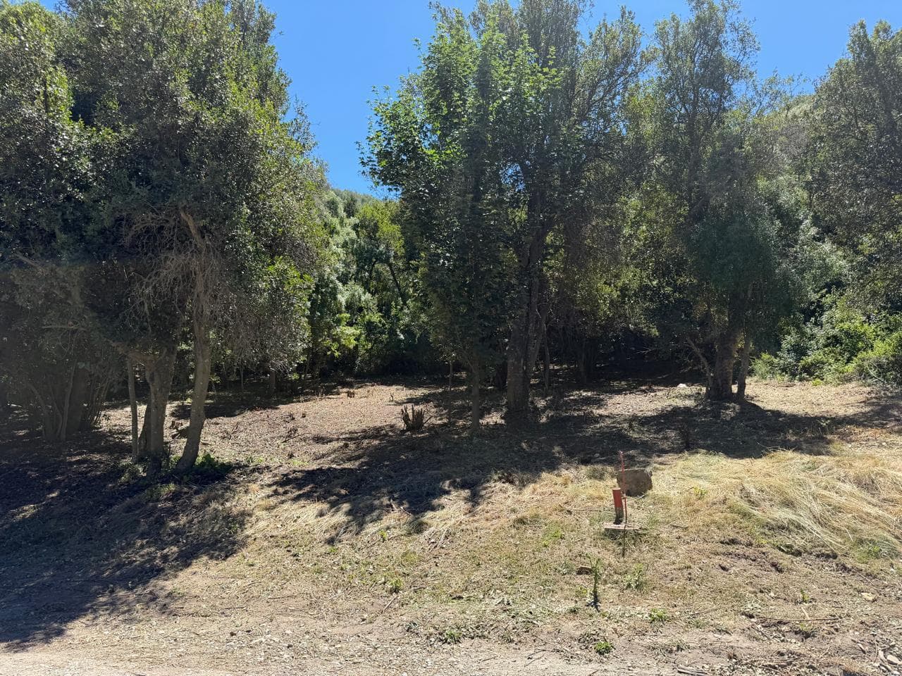 Terreno en Arelauquen Golf & CC