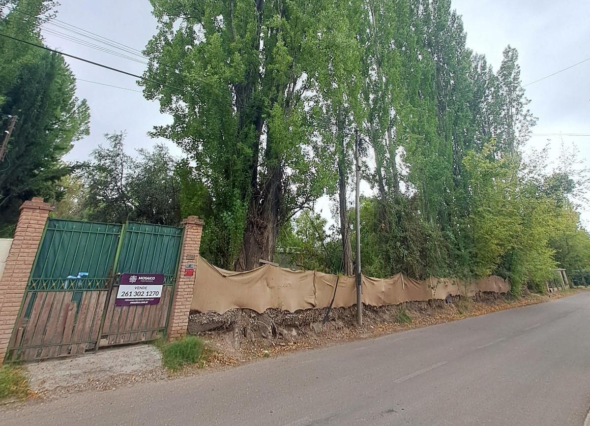 Land for Sale: 6,900 m²—IDEAL FOR REAL ESTATE OR TOURISM DEVELOPMENT