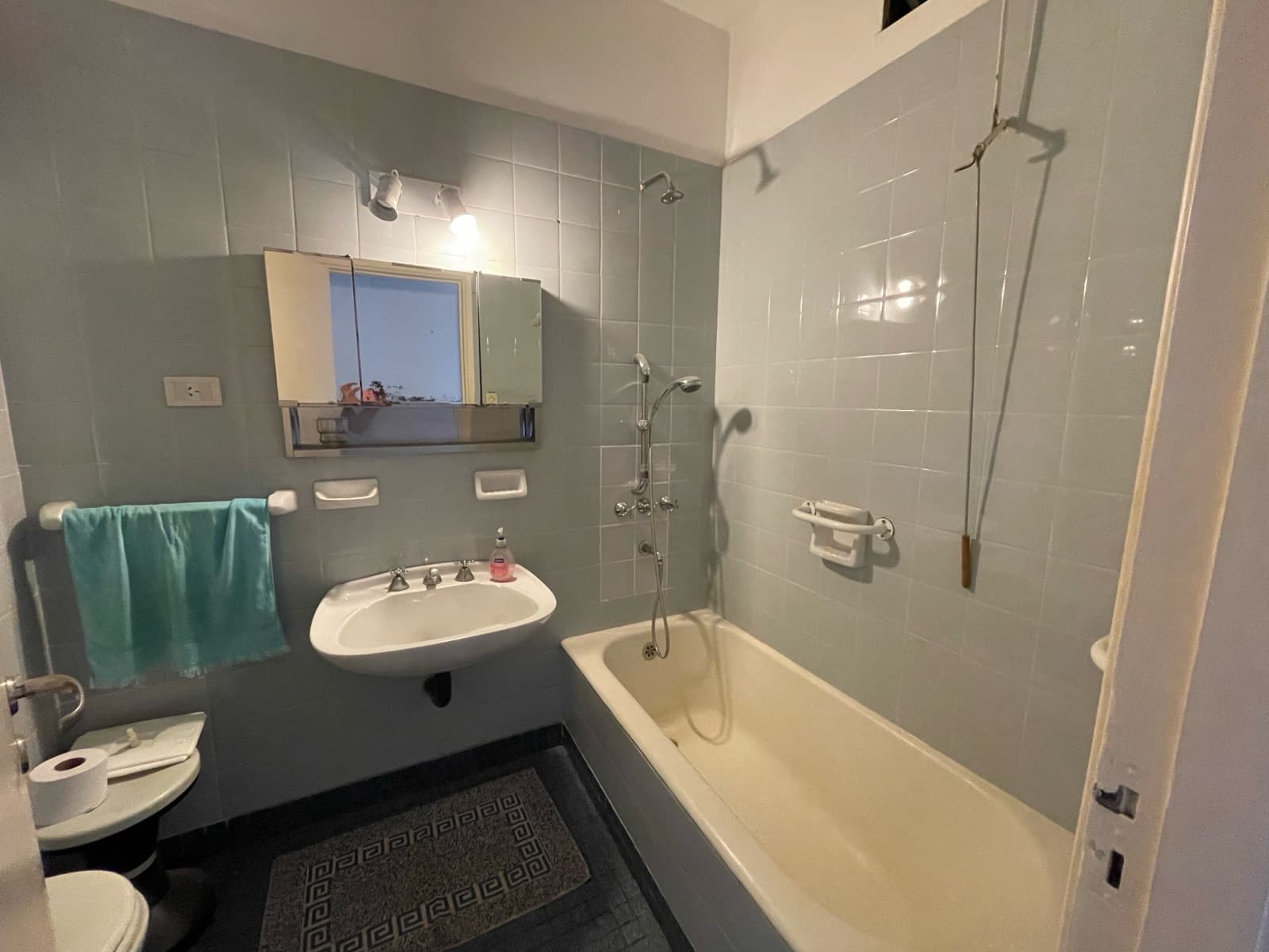 Apartment in Downtown