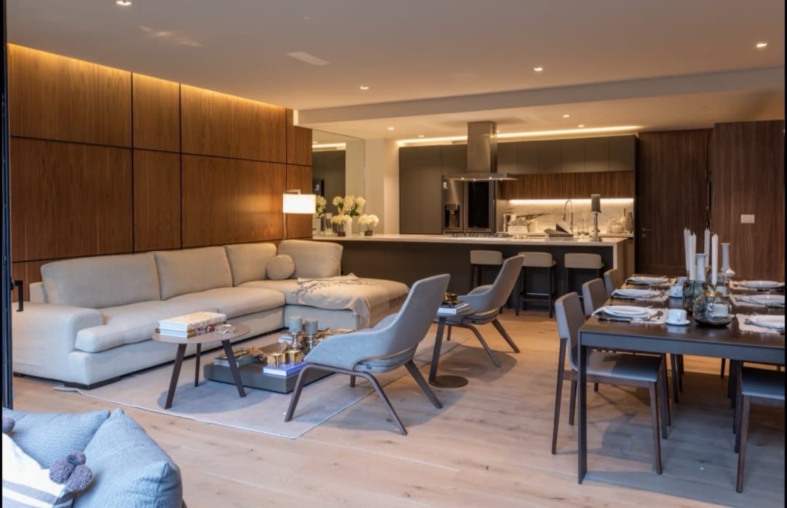Department - Pedregal Picacho Residential
