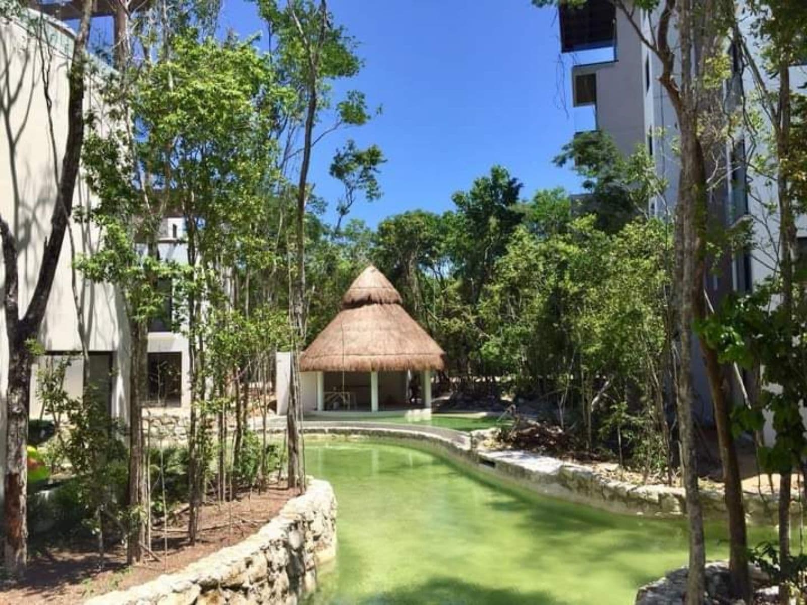 Apartment for Rent, 2 Bedrooms, FURNISHED, Bosques, Mayakobá City, Playa del Carmen