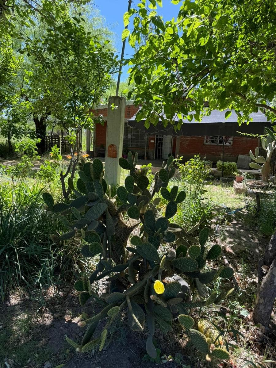 House in General Alvear