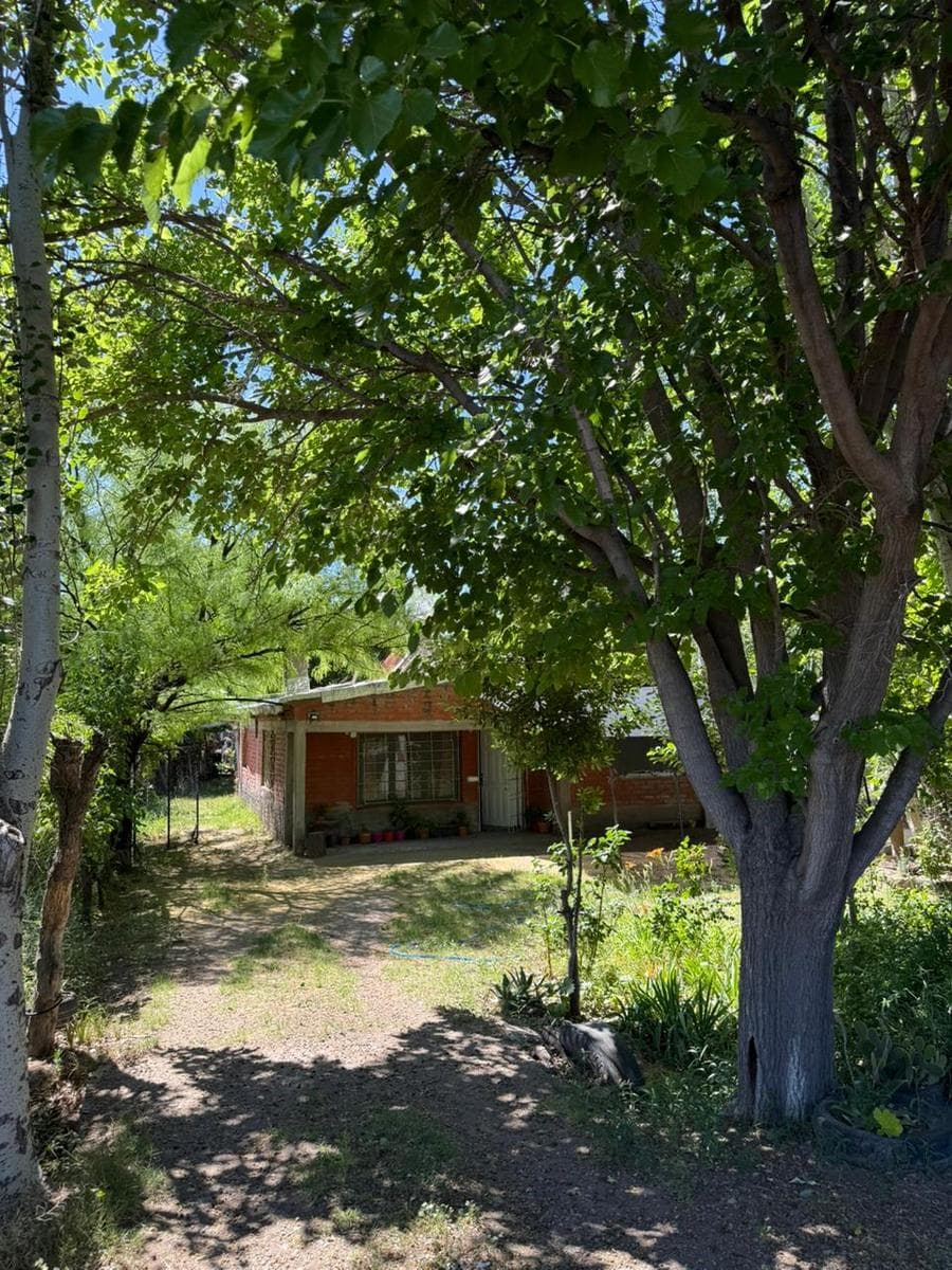 House in General Alvear