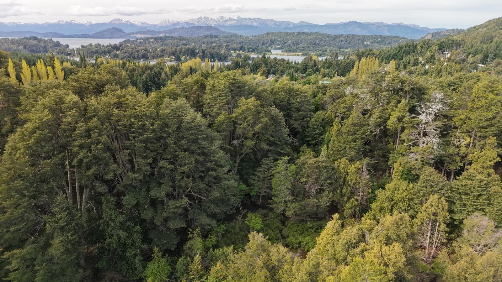 Land in Circuito Chico, Bariloche