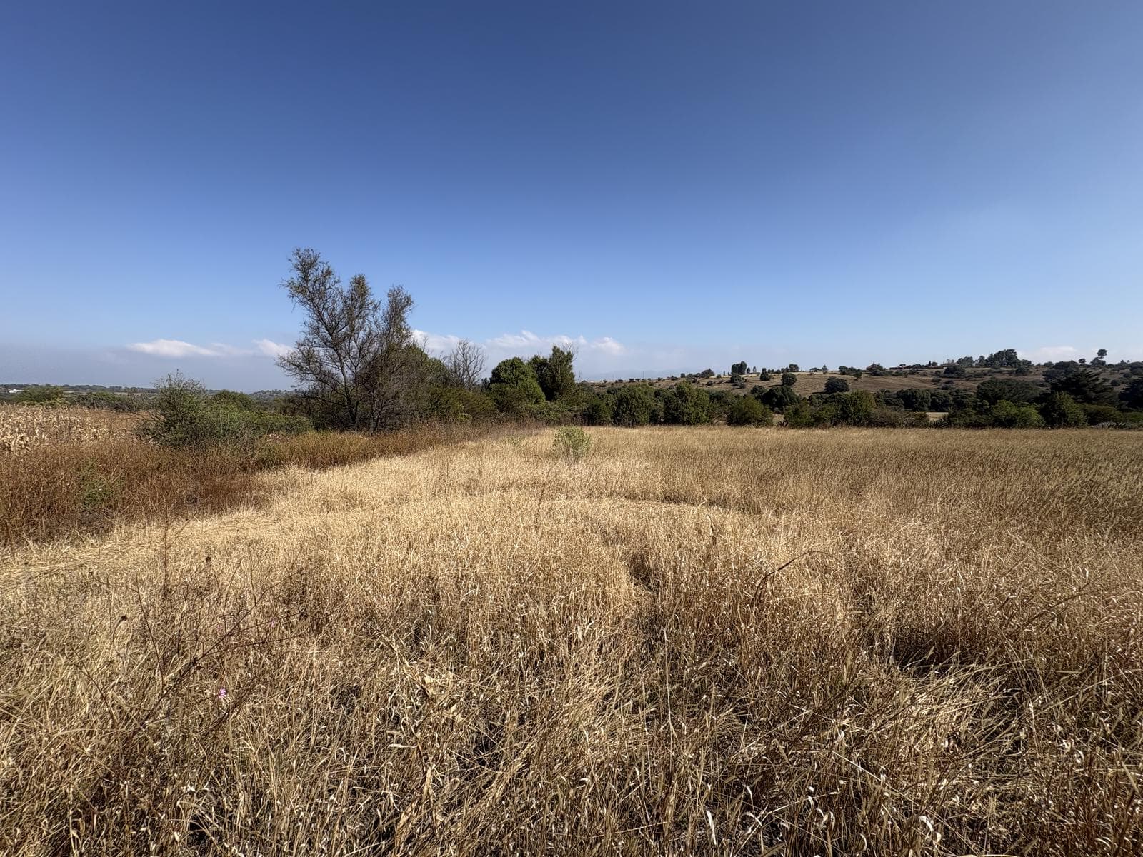 Terreno en Rancho o rancheria El Huariche