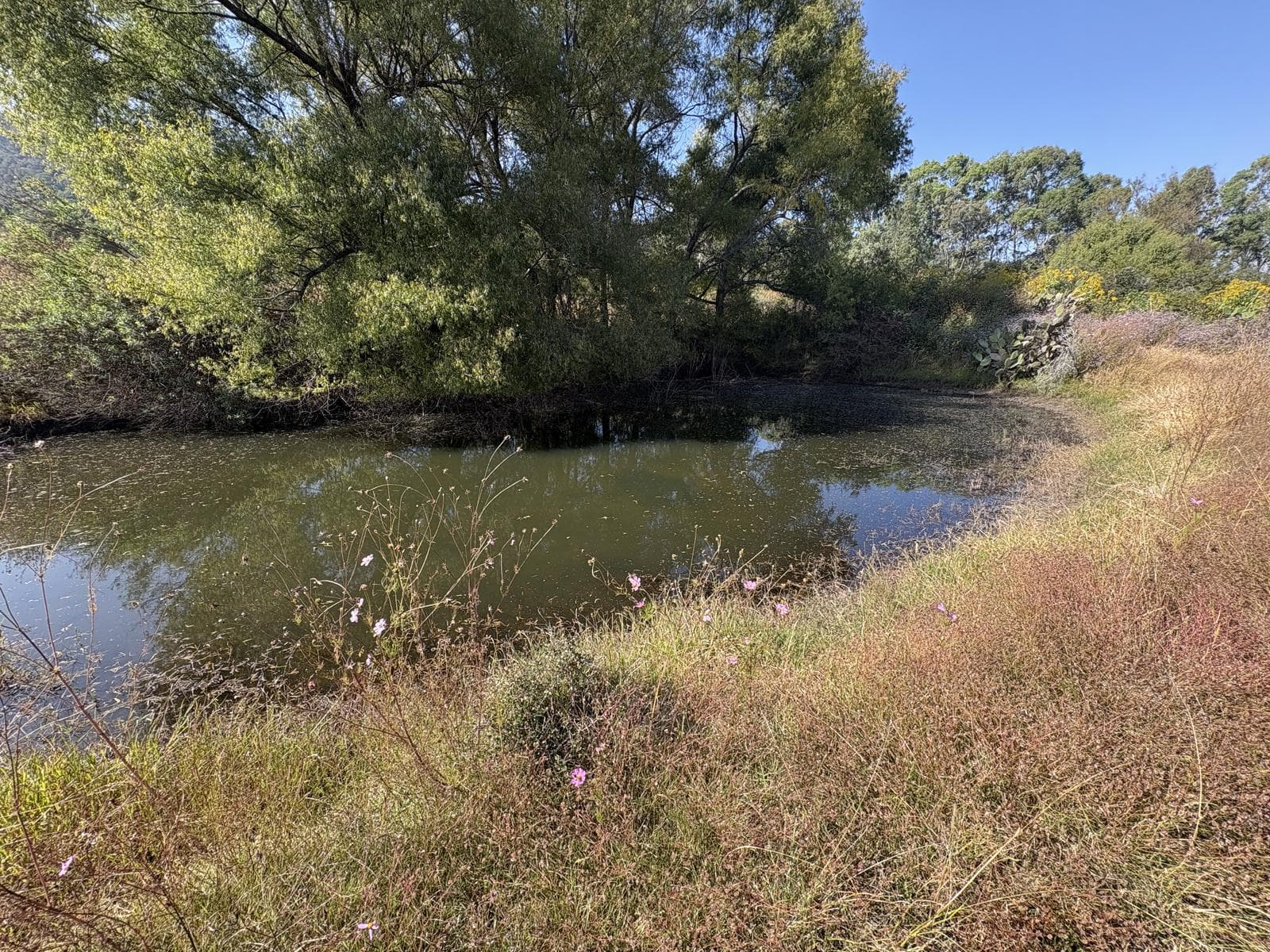 Terreno en Rancho o rancheria El Huariche