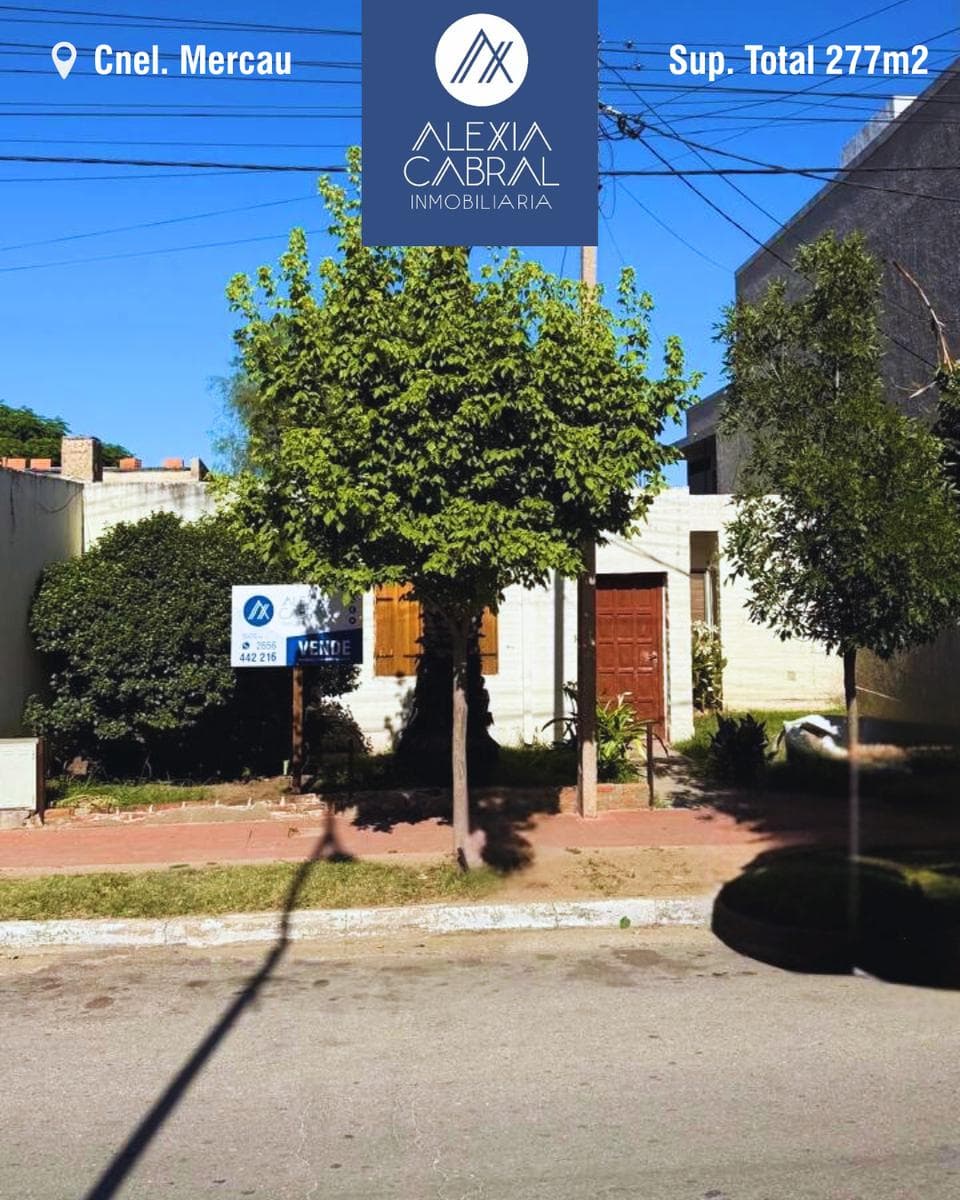 House in Downtown