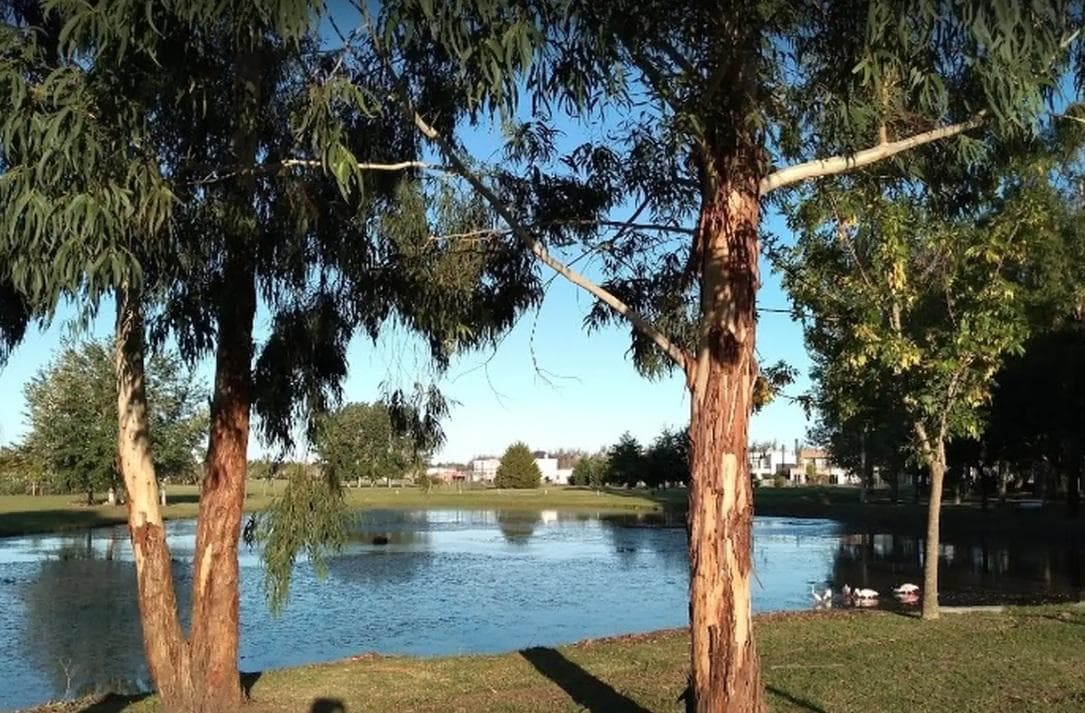 Lot in Haras del Sur II